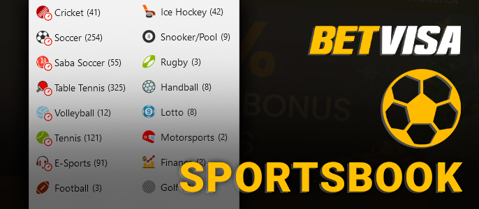 What sports you can bet on in BetVisa bookmaker's office - the list of sports