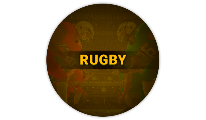 About Rugby betting at BetVisa - which tournaments can bet on