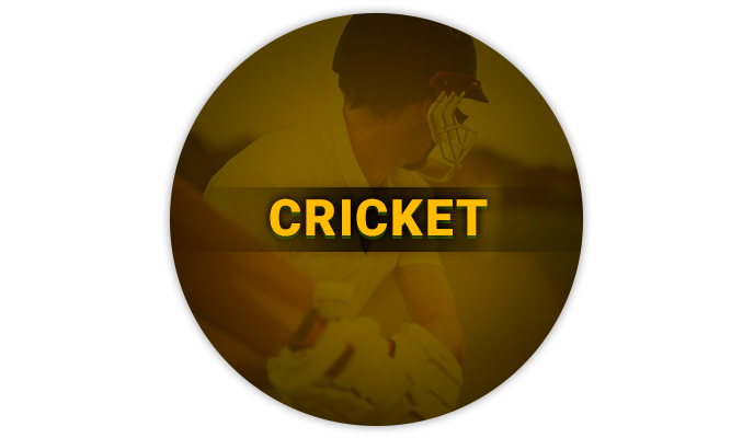 Betting on cricket in BetVisa bookmaker's