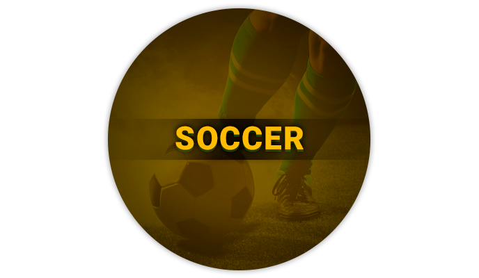 Betting on soccer in the BetVisa bookmaker's site- which tournaments can bet on